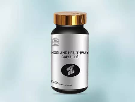 HYPOGLYCEMIC HERBAL CAPSULE