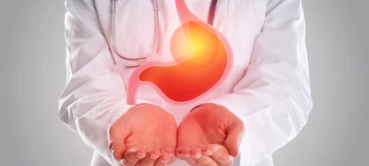 NORLAND GI VITAL SOFTGEL